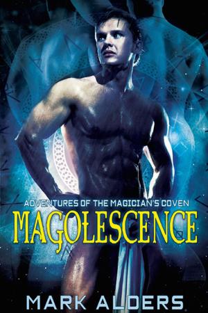 Book cover of Magolescence