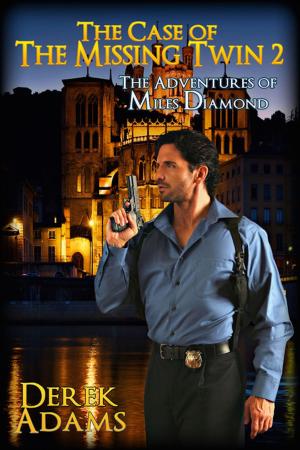 Cover of the book The Case of the Missing Twin 2 by A.J. Llewellyn, D.J. Manly