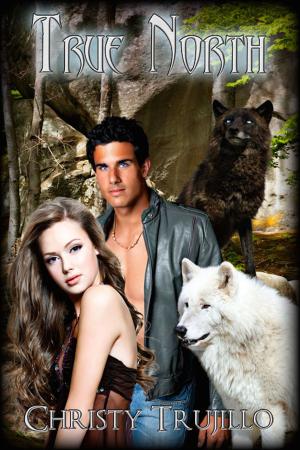 Cover of the book True North by Caitlin Ricci, A.J. Marcus
