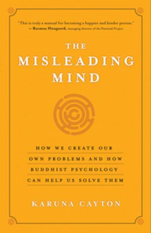 Cover of the book The Misleading Mind by David Fidelar, Sabrineh Fideler