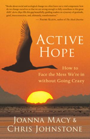Cover of the book Active Hope by Judith Sherven, James Sniechowski