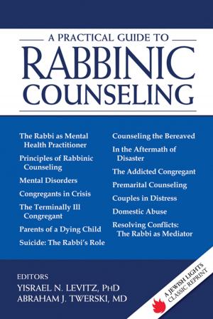 Cover of A Practical Guide to Rabbinic Counseling