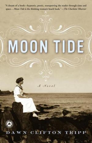 Cover of the book Moon Tide by Robert McDermott
