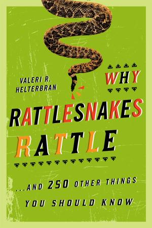 Cover of the book Why Rattlesnakes Rattle by Morry Sofer