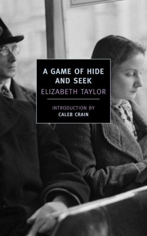 Cover of the book A Game of Hide and Seek by Penelope Farmer