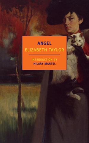 Cover of the book Angel by Alfred Hayes