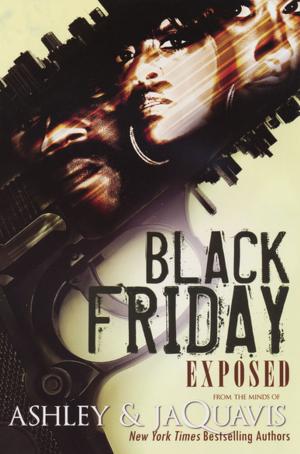Book cover of Black Friday: