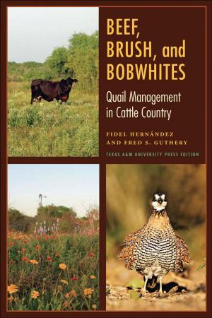 Cover of the book Beef, Brush, and Bobwhites by Steven Fenberg