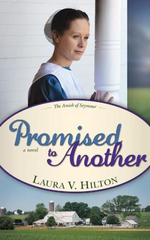 bigCover of the book Promised To Another by 