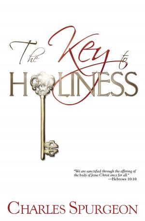 Cover of the book The Key to Holiness by Jonathan Edwards