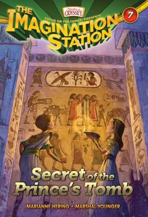 Cover of the book Secret of the Prince's Tomb by Carey Casey