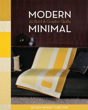 Cover of the book Modern Minimal by The Moda Bake Shop Designers