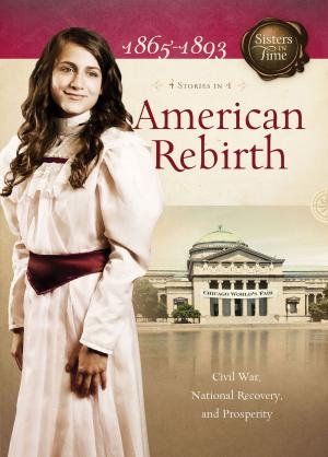 Book cover of American Rebirth: Civil War, National Recovery, and Prosperity