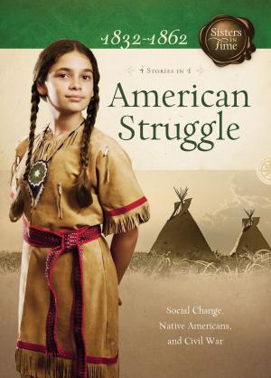 Cover of the book American Struggle: Social Change, Native Americans, and Civil War by Amanda Cabot, Melanie Dobson, Pam Hillman, Myra Johnson, Amy Lillard, DiAnn Mills, Anna Schmidt, Ann Shorey, Jennifer Uhlarik