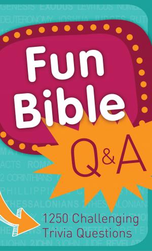 Cover of the book Fun Bible Q & A by Rebecca Currington, Janice Thompson