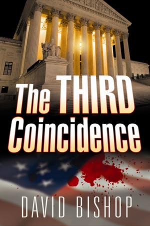 bigCover of the book The Third Coincidence by 