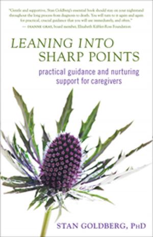 Cover of the book Leaning into Sharp Points by Sandra Jean-Pierre