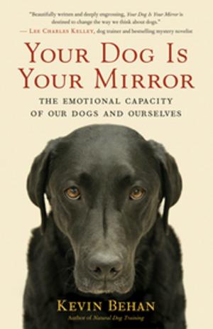 Cover of the book Your Dog Is Your Mirror by Donald Altman