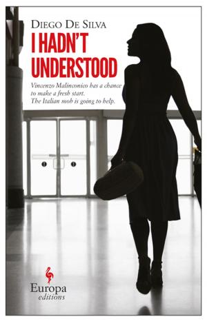 Cover of the book I Hadn't Understood by Donatella Di Pietrantonio