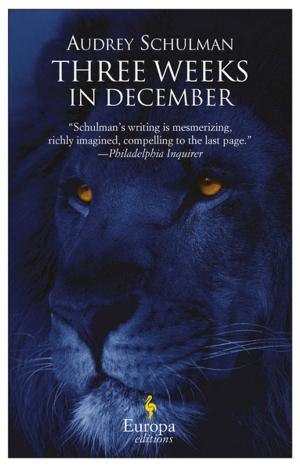 Book cover of Three Weeks in December