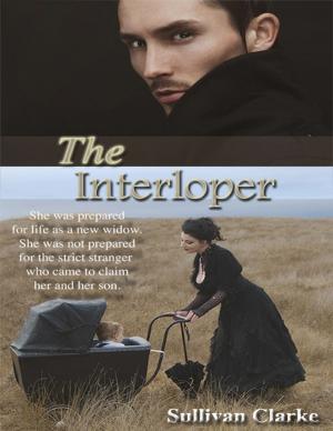 Book cover of The Interloper