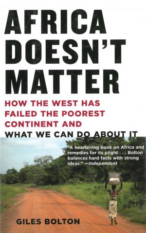 Cover of the book Africa Doesn't Matter by David Revill