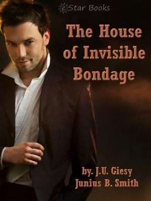 Cover of the book The House of Invisible Bondage by Michelle Rowen