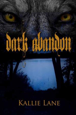 bigCover of the book Dark Abandon by 