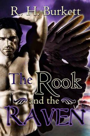 Book cover of The Rook and The Raven