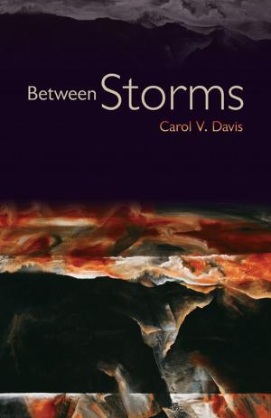 Book cover of Between Storms