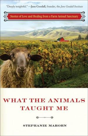 Book cover of What the Animals Taught Me