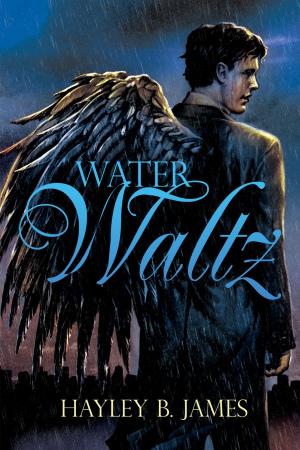 Cover of the book Water Waltz by Heather Macallister