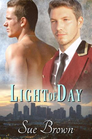 Book cover of Light of Day