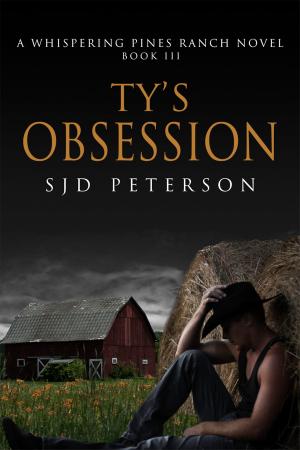 Cover of the book Ty's Obsession by A.J. Thomas