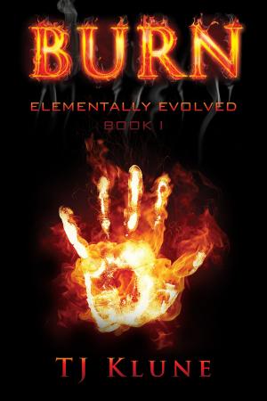 Cover of the book Burn by Lorraine Ulrich