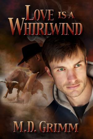 Cover of the book Love Is a Whirlwind by Rick R. Reed