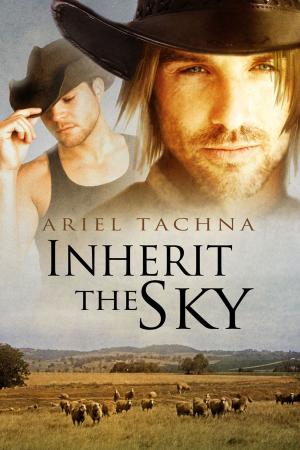 Cover of the book Inherit the Sky by Tray Ellis