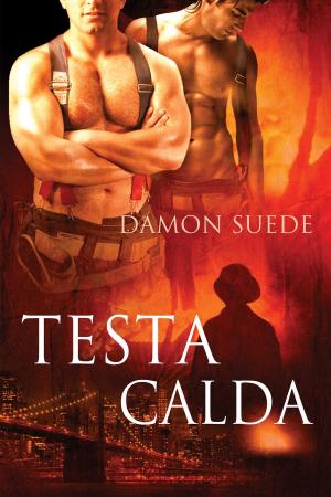 Cover of the book Testa Calda by Alex Kidwell, Robin Saxon