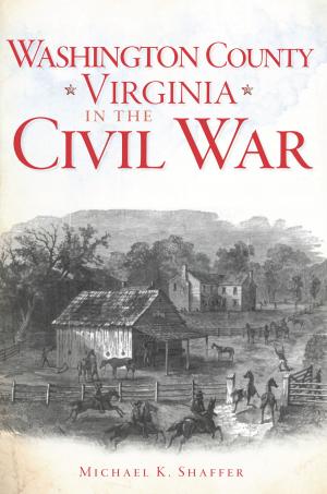 Cover of the book Washington County, Virginia, in the Civil War by Karen MacArthur Grizzard, Ericka L. Grizzard