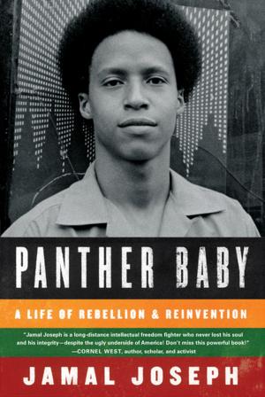 Cover of the book Panther Baby by Jess Butterworth