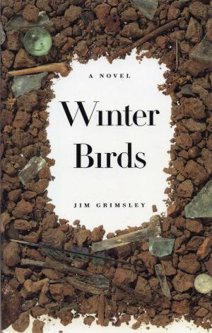 Cover of the book Winter Birds by Robert Goolrick