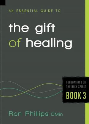 Cover of the book An Essential Guide to the Gift of Healing by Dave Williams