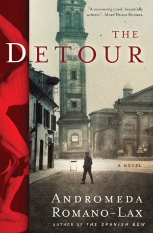 Cover of the book The Detour by Mark Bomback, Galaxy Craze