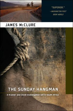 Cover of the book The Sunday Hangman by Qiu Xiaolong