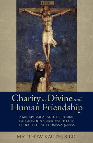 Cover of the book Charity as Divine and Human Friendship by Janet Morana