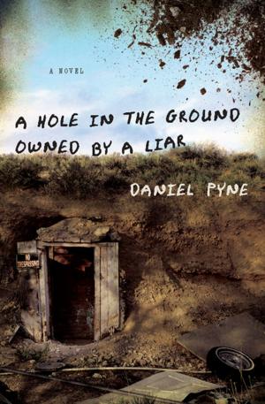 Cover of the book A Hole in the Ground Owned by a Liar by Jeff Greenwald
