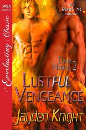 Cover of the book Lustful Vengeance by Dawn H, Hawkes