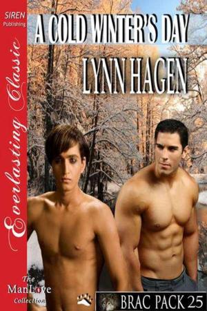 Cover of the book A Cold Winter's Day by Mo Stegall
