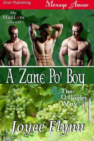 Cover of the book A Zane Po' Boy by Leah Brooke