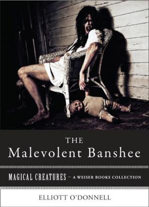 Cover of the book Malevolent Banshe by Malcolm Parvey, Deborah Alston